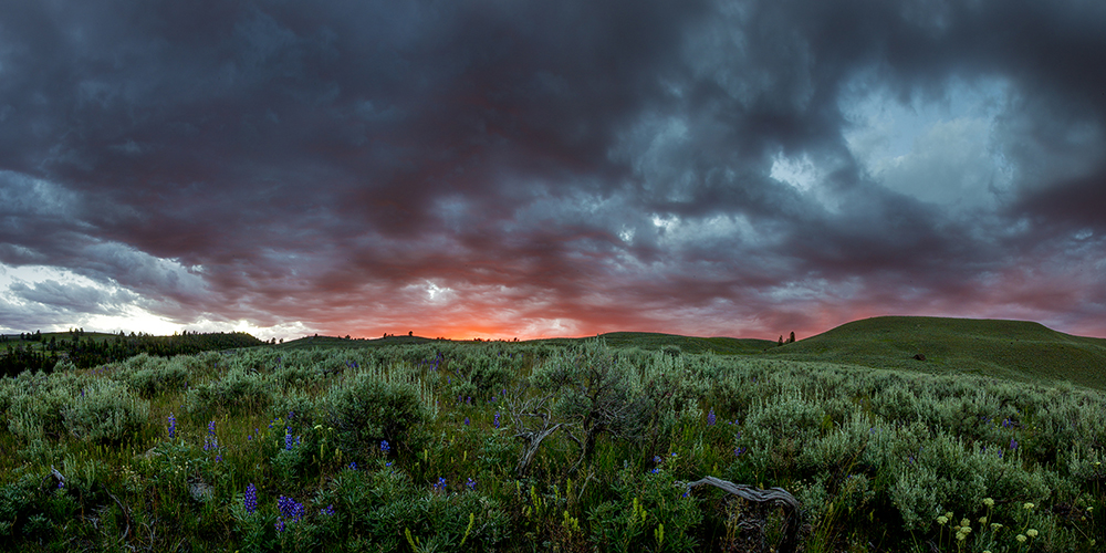 Lamar Valley Sunset, Yellowstone National Park