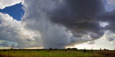 Last cell of 2015 (12-04-15)