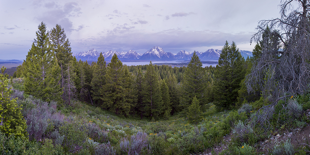 Signal Mountain view of the Tetons