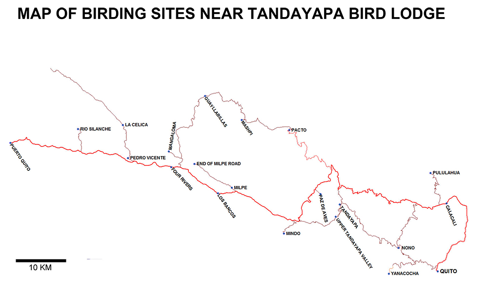 Map of Birding sites near Tandayapa Bird Lodge