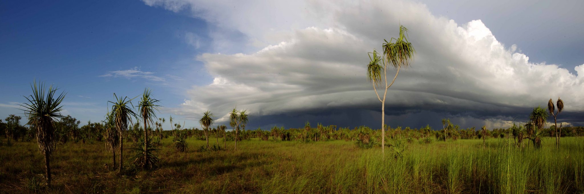Storm Clouds - 31 January 2013